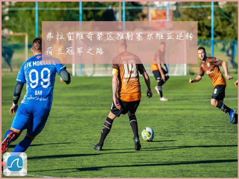 弗拉霍维奇禁区推射塞尔维亚逆转荷兰冠军之路