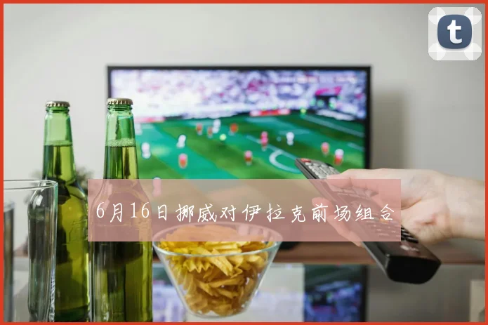 6月16日挪威对伊拉克前场组合