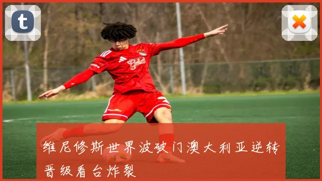 维尼修斯世界波破门澳大利亚逆转晋级看台炸裂
