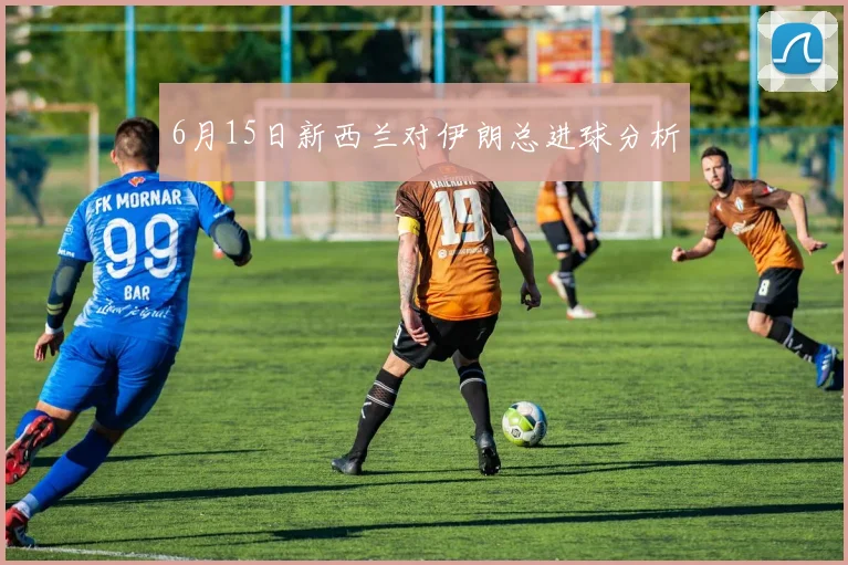 6月15日新西兰对伊朗总进球分析